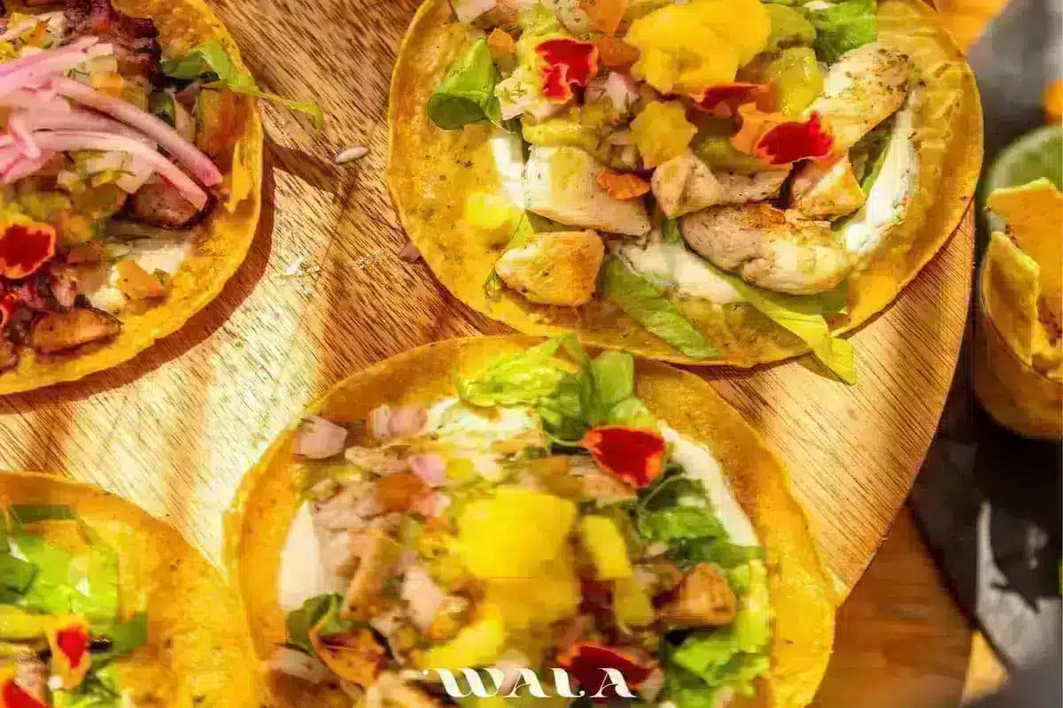 Wala Beach Club Cartagena - Image 12