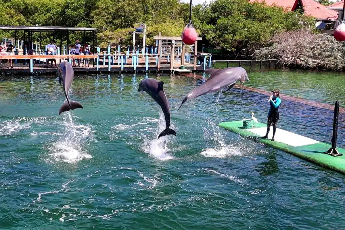 Tour 4 Destinos + Oceanario - Image 8